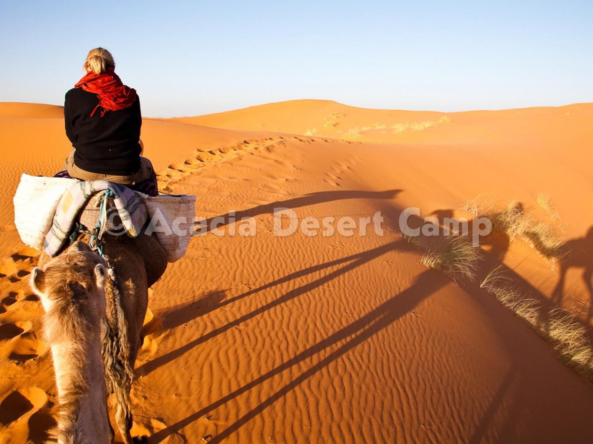 Acacia Desert Camp Hotel Merzouga Exterior foto