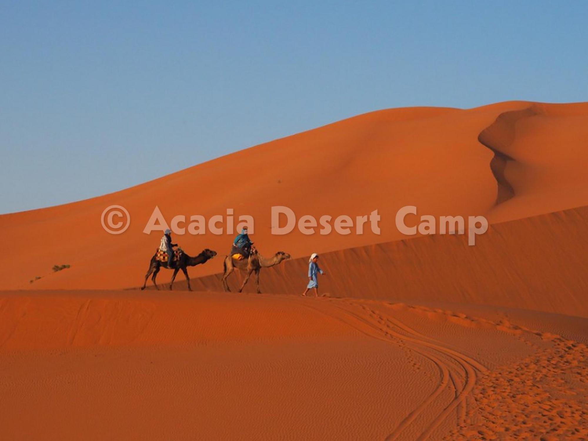 Acacia Desert Camp Hotel Merzouga Exterior foto